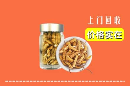 收购资讯:驿城区回收散虫草
